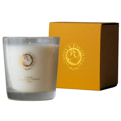 product image of where the wild things are candle 1 55