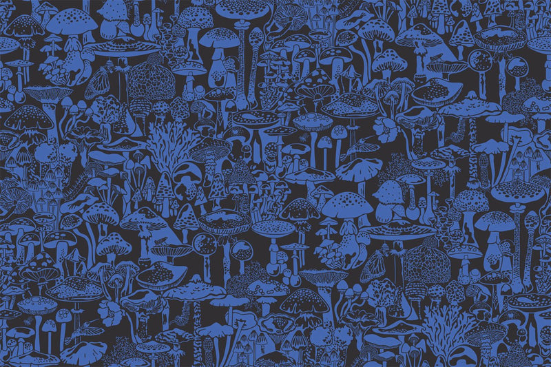 media image for Mushroom City Wallpaper in Asteroid design by Aimee Wilder 221