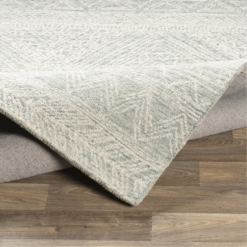 media image for Newcastle NCS-2312 Hand Tufted Rug in Cream & Sage by Surya 268