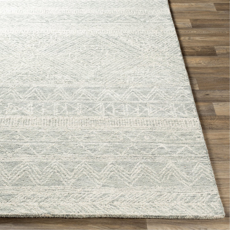 media image for Newcastle NCS-2312 Hand Tufted Rug in Cream & Sage by Surya 25