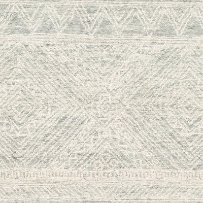 product image for Newcastle NCS-2312 Hand Tufted Rug in Cream & Sage by Surya 24