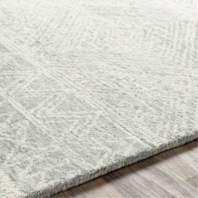 product image for Newcastle NCS-2312 Hand Tufted Rug in Cream & Sage by Surya 7