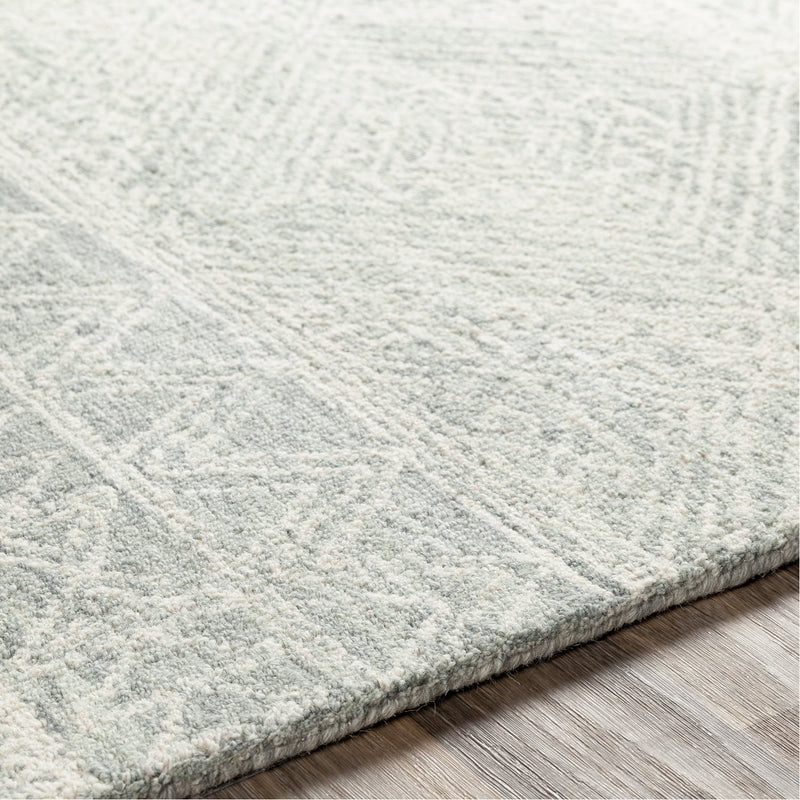 media image for Newcastle NCS-2312 Hand Tufted Rug in Cream & Sage by Surya 290