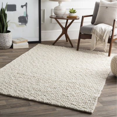 product image for Neravan NER-1003 Hand Woven Rug in Cream by Surya 86