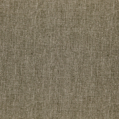 product image of Nightingale Fabric in Turtle Green 553