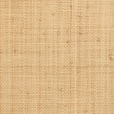 product image of Grasscloth NL501 Wallcovering from the Natural Life IV Collection by Burke Decor 596