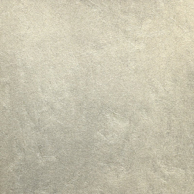 product image of Rice Paper NL508 Wallcovering from the Natural Life IV Collection by Burke Decor 563