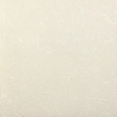 product image of Rice Paper NL509 Wallcovering from the Natural Life IV Collection by Burke Decor 59