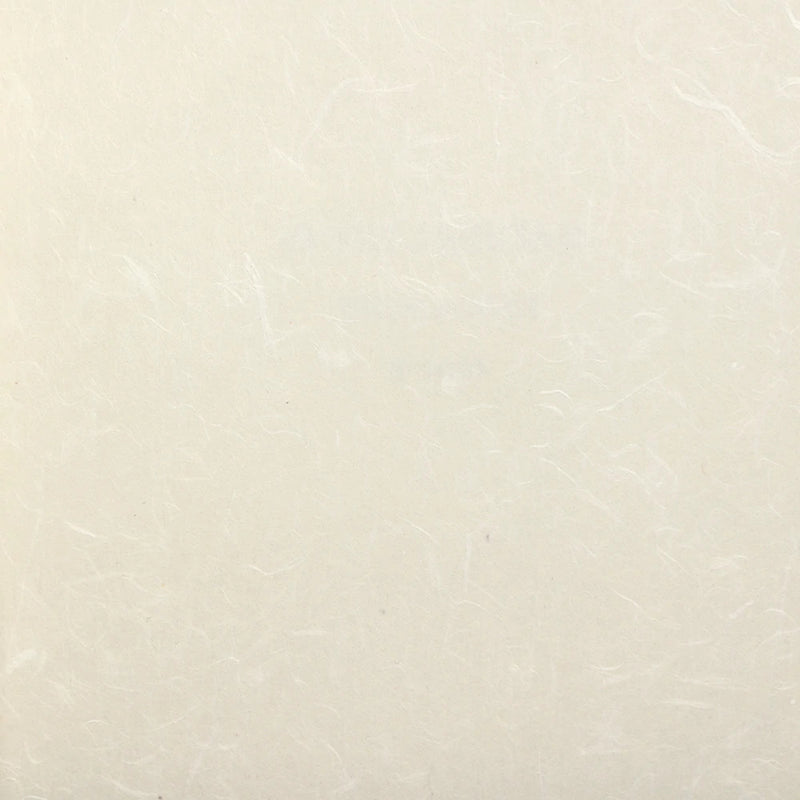 media image for Rice Paper NL509 Wallcovering from the Natural Life IV Collection by Burke Decor 23