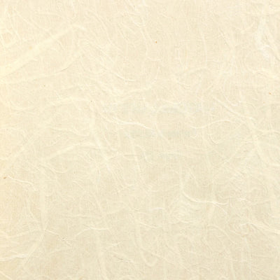 product image of Rice Paper NL510 Wallcovering from the Natural Life IV Collection by Burke Decor 520
