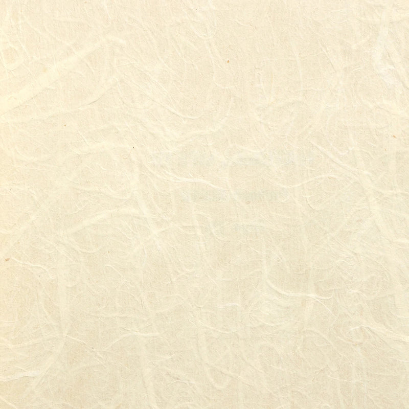 media image for Rice Paper NL510 Wallcovering from the Natural Life IV Collection by Burke Decor 261