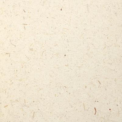 product image of Rice Paper NL511 Wallcovering from the Natural Life IV Collection by Burke Decor 540