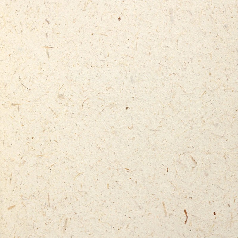 media image for Rice Paper NL511 Wallcovering from the Natural Life IV Collection by Burke Decor 270