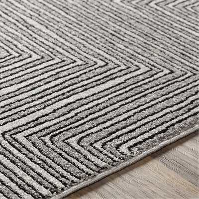 product image for Nepali NPI-2316 Rug in Black & Medium Gray by Surya 0