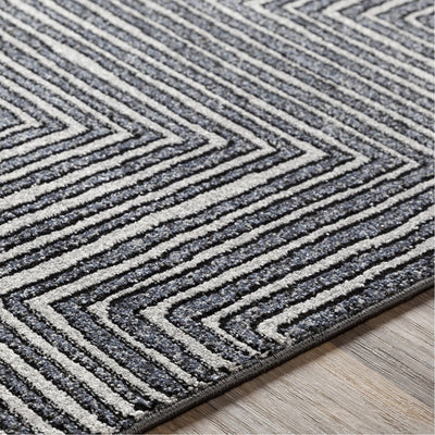 product image for Nepali NPI-2317 Rug in Cream & Black by Surya 87