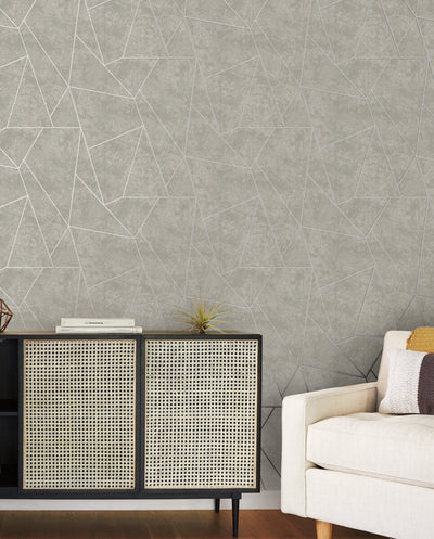 product image for Nazca Wallpaper in Light Grey/Silver from the Modern Metals Second Edition 64