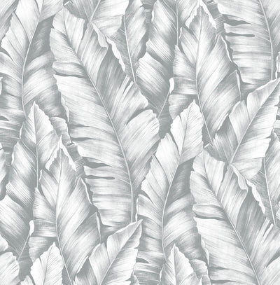 product image for Baha Banana Leaves Peel-and-Stick Wallpaper in Daydream Grey by NextWall 6