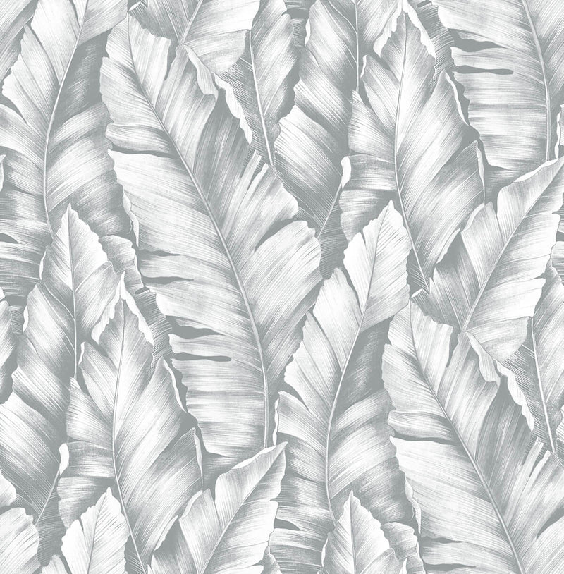 media image for Baha Banana Leaves Peel-and-Stick Wallpaper in Daydream Grey by NextWall 276