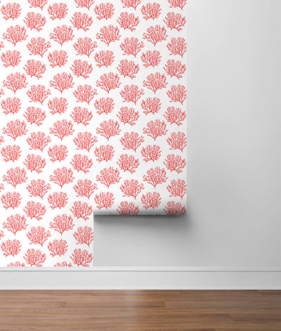 product image for Coastal Coral Reef Peel-and-Stick Wallpaper in Vermillion by NextWall 57