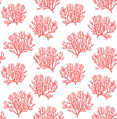 product image for Coastal Coral Reef Peel-and-Stick Wallpaper in Vermillion by NextWall 44
