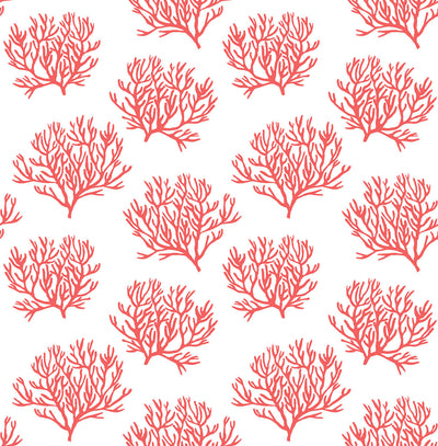product image for Coastal Coral Reef Peel-and-Stick Wallpaper in Vermillion by NextWall 57