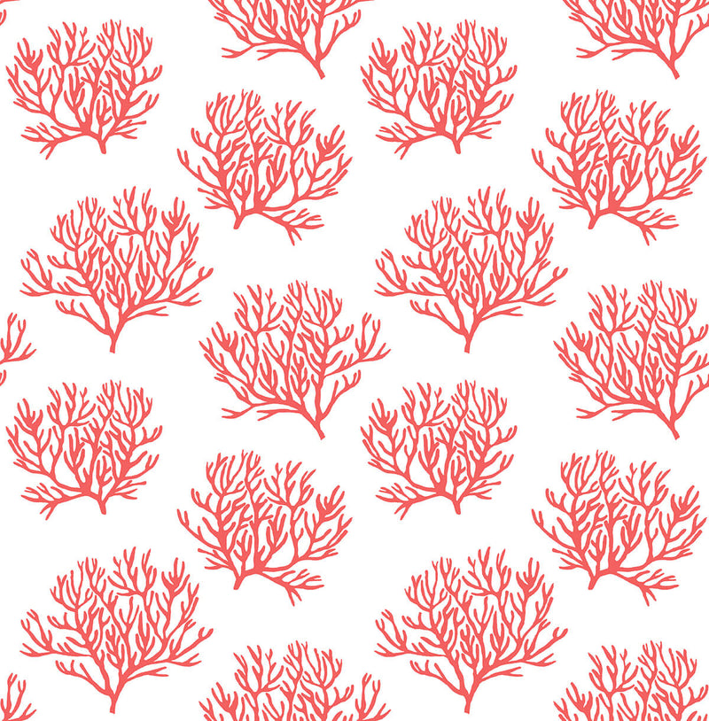 media image for sample coastal coral reef wallpaper in vermillion by nextwall 1 238