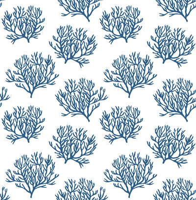 product image for Coastal Coral Reef Peel-and-Stick Wallpaper in Marine Blue by NextWall 13