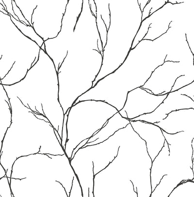 product image of sample delicate branches peel and stick wallpaper in ebony by nextwall 1 524