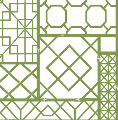 product image for Garden Trellis Spring Green Peel-and-Stick Wallpaper by NextWall 7