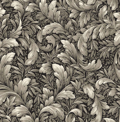 product image of sample acanthus trail charcoal peel and stick wallpaper by nextwall 1 564