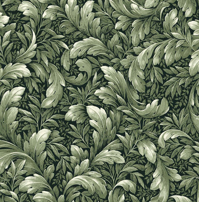 product image of sample acanthus trail forest green peel and stick wallpaper by nextwall 1 557