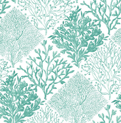 product image of Seaweed Peel-and-Stick Wallpaper in Seaglass 58