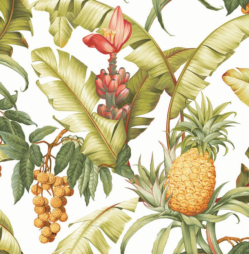 media image for Pineapple Floral Peel-and-Stick Wallpaper in Off-White 245