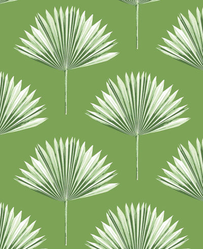 product image of Sample Tropical Fan Palm Peel-and-Stick Wallpaper in Green Sprout 561