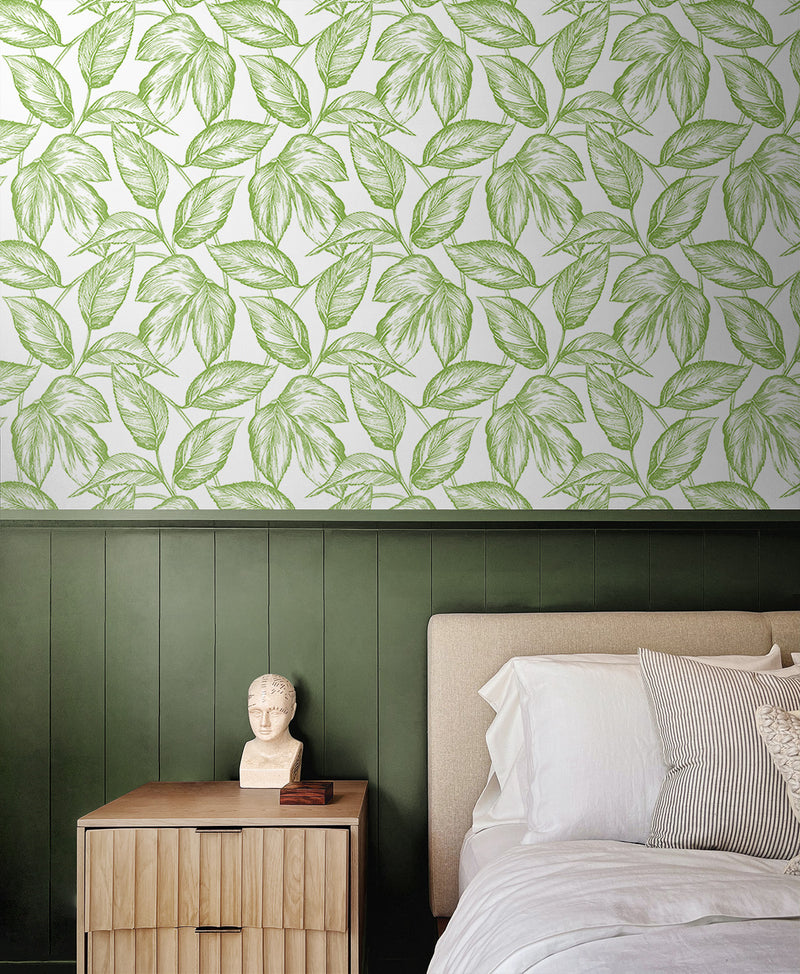 media image for Sketched Leaves Peel-and-Stick Wallpaper in Greenery 249