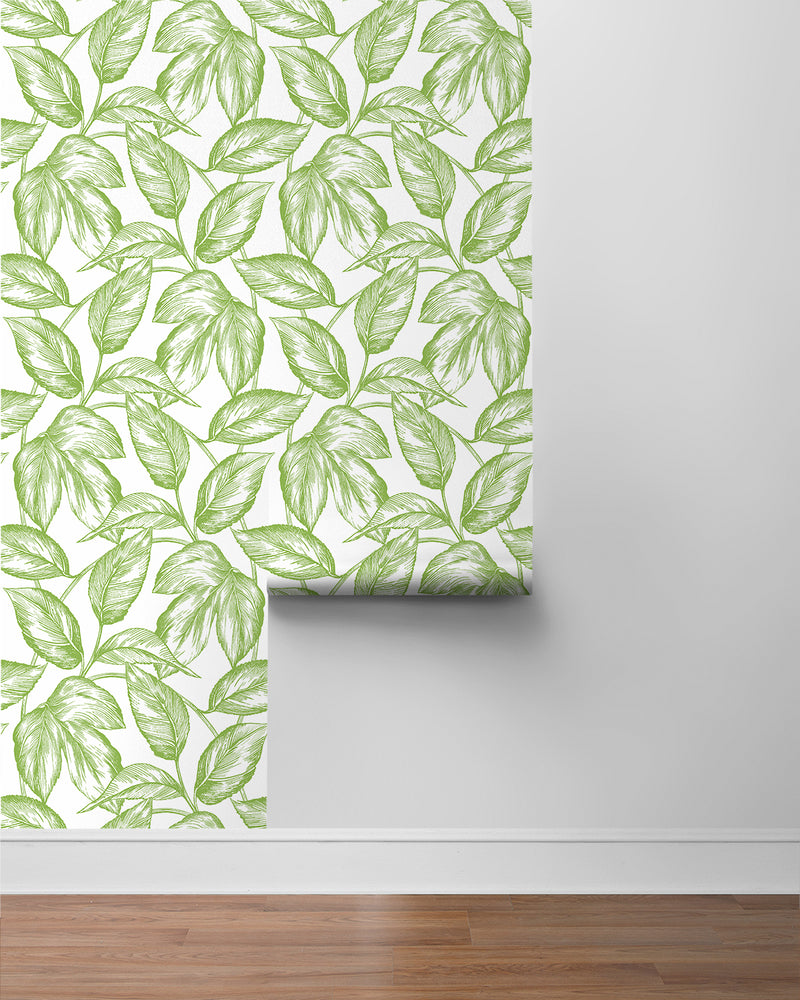 media image for Sketched Leaves Peel-and-Stick Wallpaper in Greenery 270