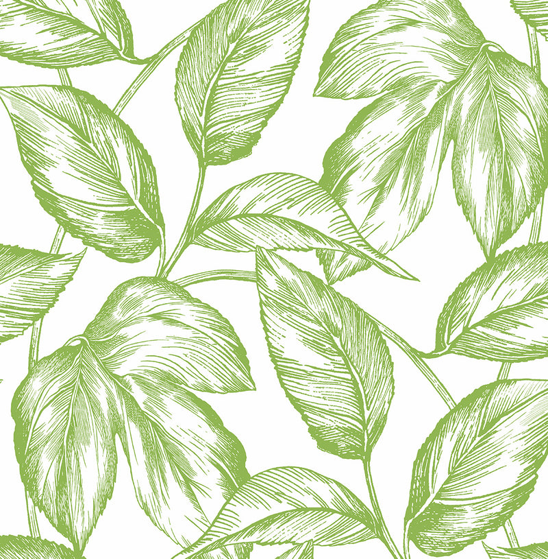 media image for Sketched Leaves Peel-and-Stick Wallpaper in Greenery 275