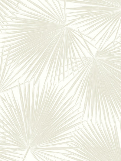 product image of Aruba Palm Peel-and-Stick Wallpaper in Sea Salt 546