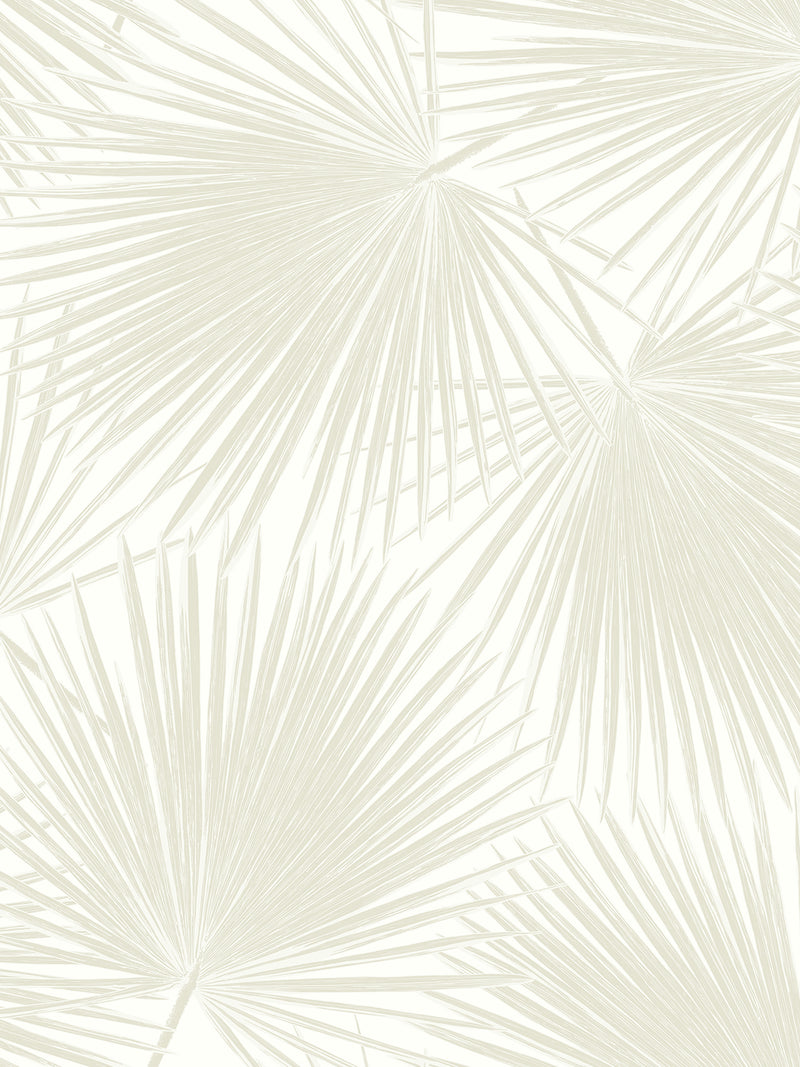 media image for Aruba Palm Peel-and-Stick Wallpaper in Sea Salt 272