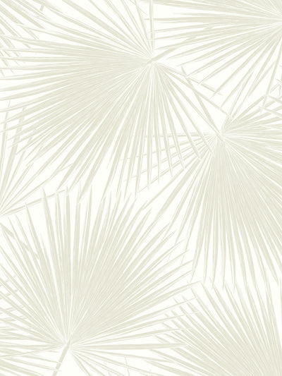 product image of Sample Aruba Palm Peel-and-Stick Wallpaper in Sea Salt 51