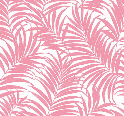 product image for Beach Palm Peel & Stick Wallpaper in Pink 64