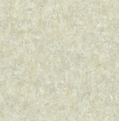 product image of sample nouveau stucco wallpaper in chestnut from the nouveau collection by wallquest 1 535
