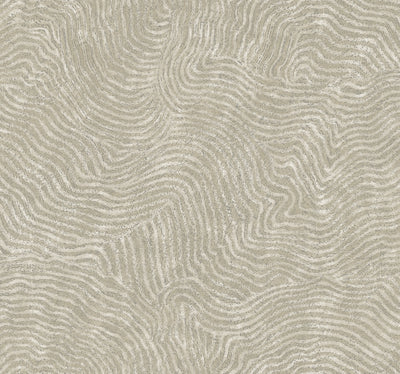 product image of Modern Wood Wallpaper in Taupe 551