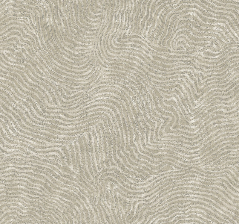 media image for Modern Wood Wallpaper in Taupe 232