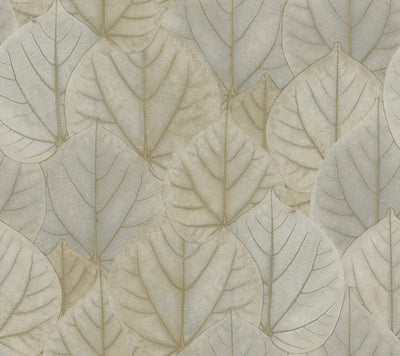 product image of sample leaf concerto wallpaper in taupe by candice olson for york wallcoverings 1 564