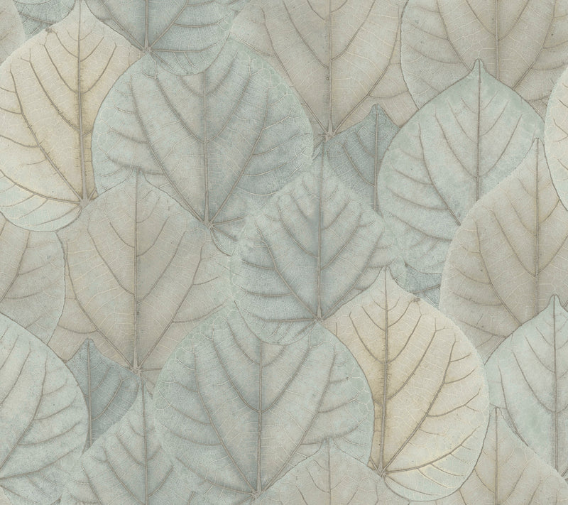 media image for sample leaf concerto wallpaper in blue taupe by candice olson for york wallcoverings 1 253