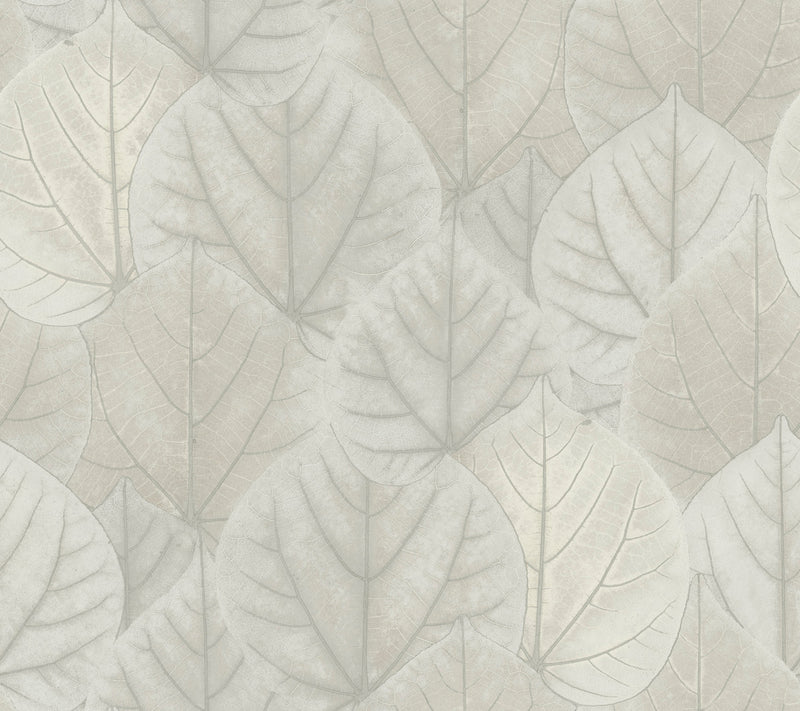 media image for Leaf Concerto Wallpaper in Grey by Candice Olson for York Wallcoverings 238