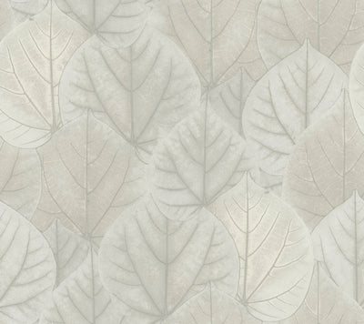 product image of sample leaf concerto wallpaper in grey by candice olson for york wallcoverings 1 542