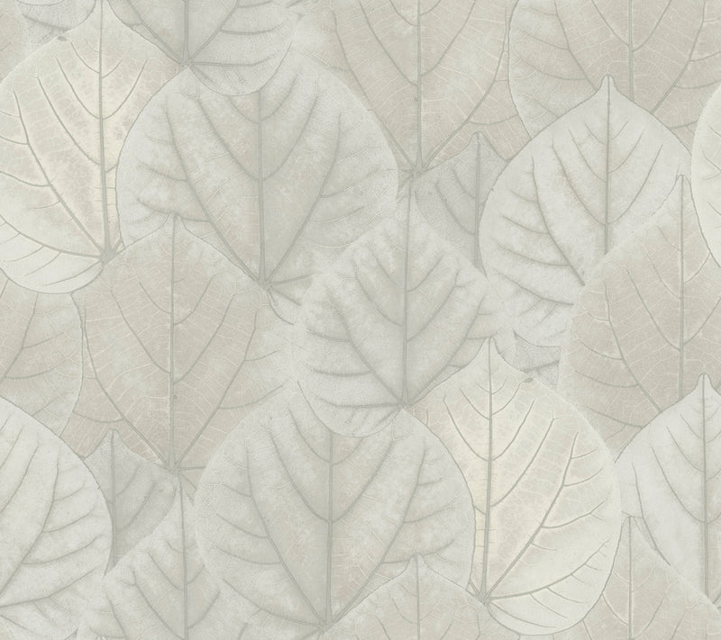 media image for sample leaf concerto wallpaper in grey by candice olson for york wallcoverings 1 257