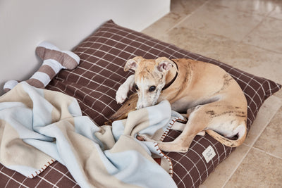 product image for kaya dog blanket large 6 84